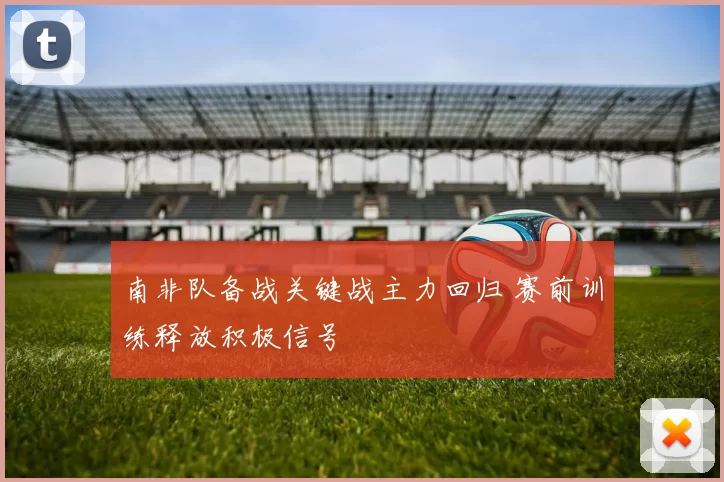 南非队备战关键战主力回归 赛前训练释放积极信号
