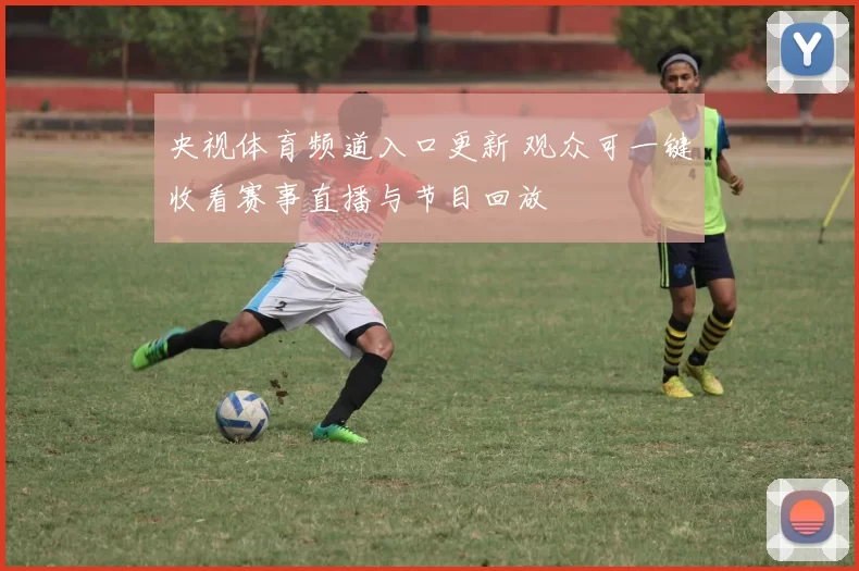 央视体育频道入口更新 观众可一键收看赛事直播与节目回放