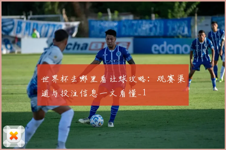 世界杯去哪里看让球攻略：观赛渠道与投注信息一文看懂_1