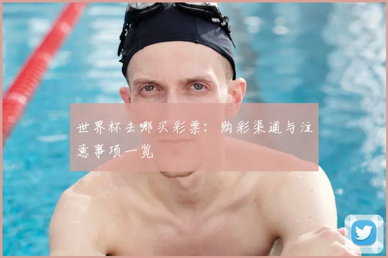 世界杯去哪买彩票：购彩渠道与注意事项一览
