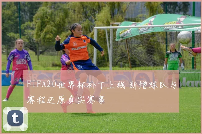 FIFA20世界杯补丁上线 新增球队与赛程还原真实赛事