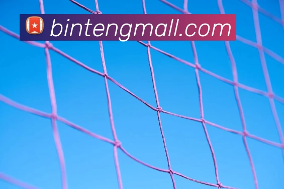 2018世界杯官网APP 体育赛事宣传图